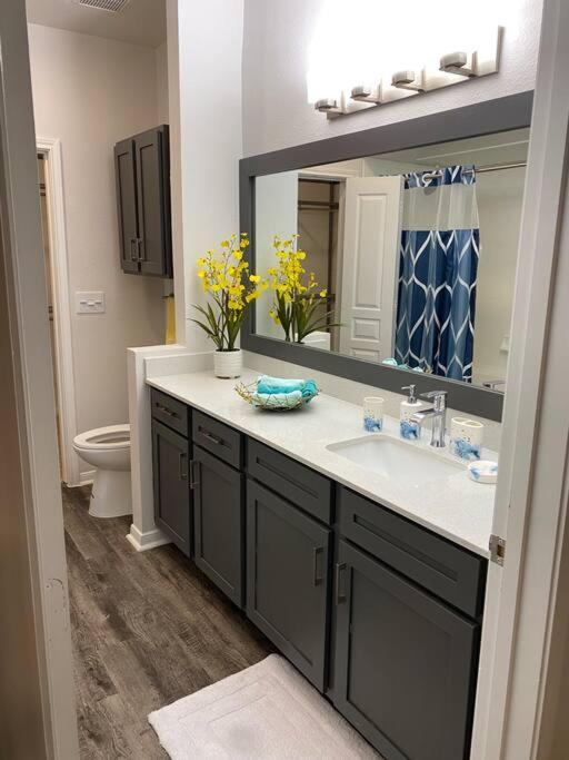 Your Warm Spacious Unit With Pool - Medical Center Houston Exterior photo